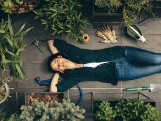 La biophilie au bureau : une vraie tendance, « pas un truc de bobo »