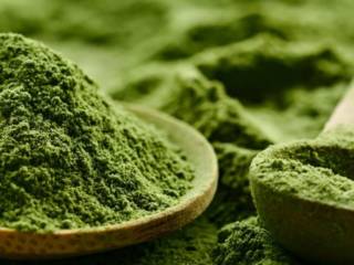 Le kratom, la nouvelle drogue tendance, mais pas sans risques aux États-Unis