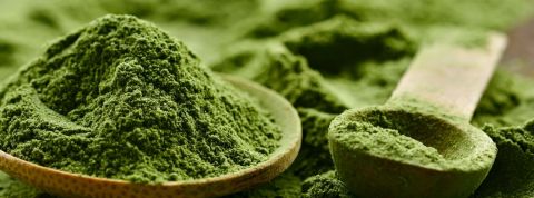 Le kratom, le nouvel or vert De la poudre verte