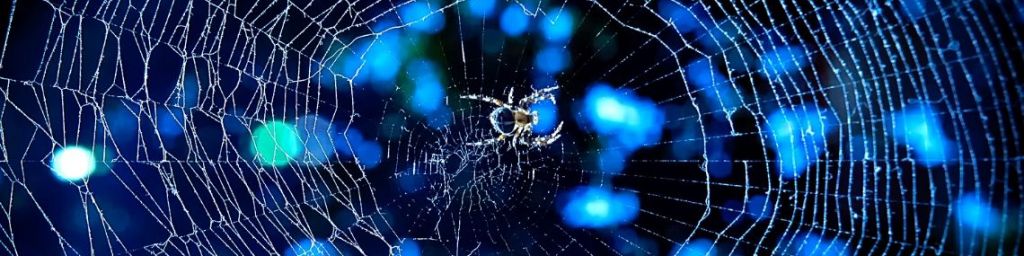 toile d'araignée bleue