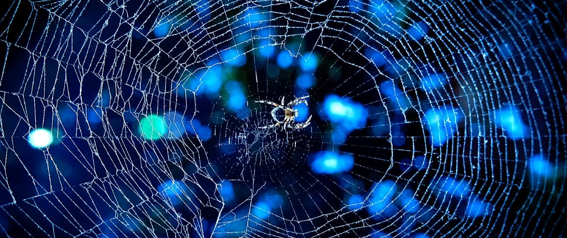 La permaéconomie, cette tendance heureuse qui fera 2020 toile d'araignée bleue
