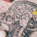 schema crane avec chiffres