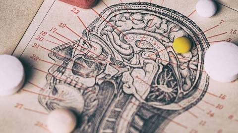 schema crane avec chiffres