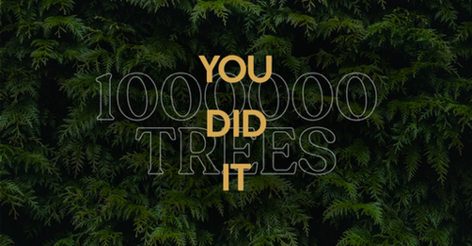 Carte intéractive de plantation d'arbres