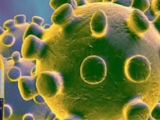 La bière Corona, dommage collatéral de l'épidémie du Coronavirus