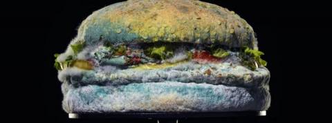 La dernière campagne de Burger King est… moisie un burger moisi en pleine décomposition