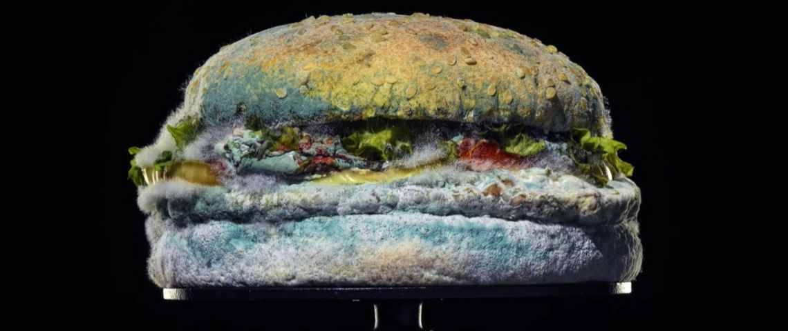 La dernière campagne de Burger King est… moisie un burger moisi en pleine décomposition