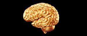 Cerveau doré