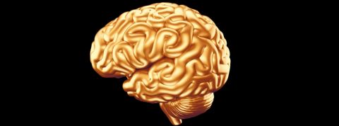 Braintech : le business juteux du cerveau Cerveau doré