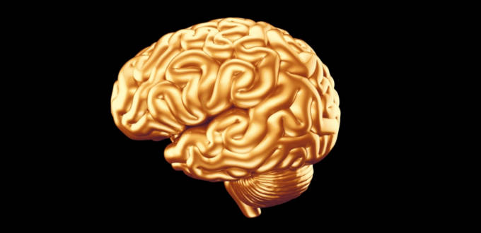 Braintech : le business juteux du cerveau
