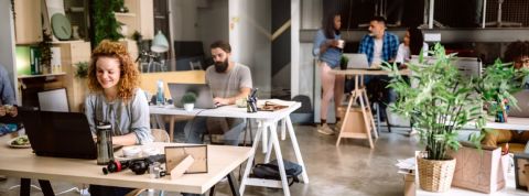 Quels sont les métiers qui recrutent dans le développement durable en 2020 ? Des gens dans un bureau avec des plantes