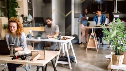 Des gens dans un bureau avec des plantes