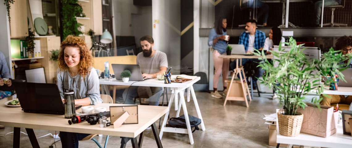 Quels sont les métiers qui recrutent dans le développement durable en 2020 ? Des gens dans un bureau avec des plantes