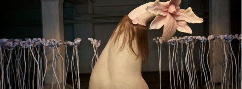 Les fleurs chimérique de Patricia Pccinini une fleur hybride faite de chairs et de cheveux