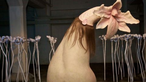Les fleurs chimérique de Patricia Pccinini une fleur hybride faite de chairs et de cheveux