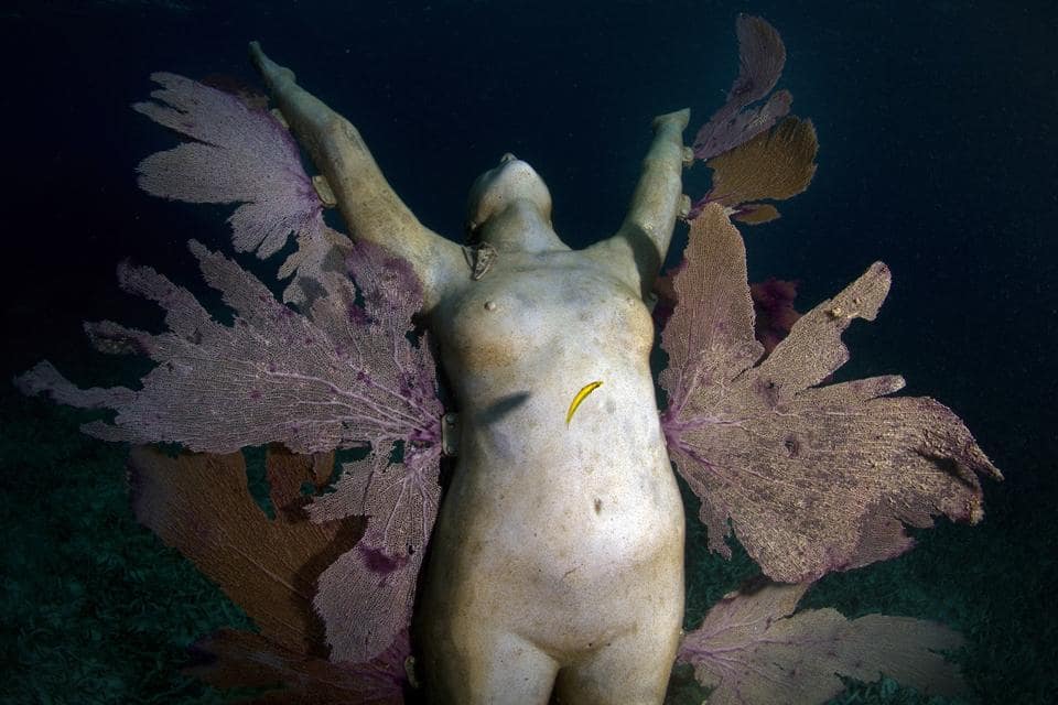 sculpture immergée sous l'eau