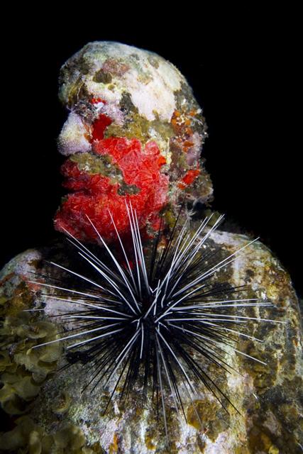 sculpture rouge immergée sous l'eau