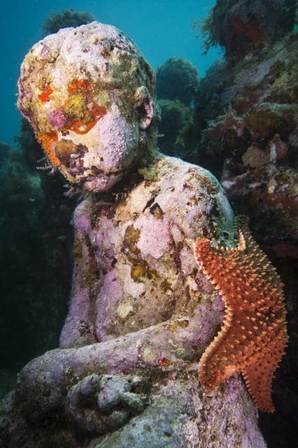 sculpture immergée sous l'eau avec étoile de mer