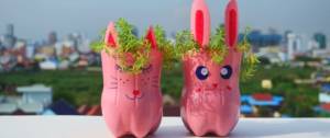 Des pots de fleurs en forme de lapin de rose