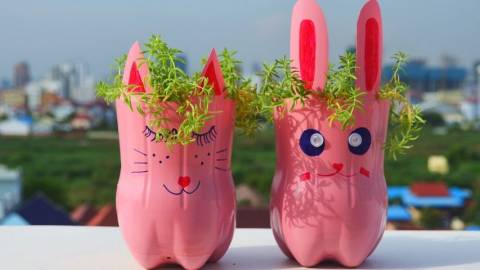 Des pots de fleurs en forme de lapin de rose