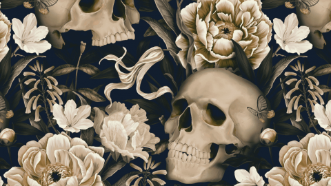 Des crânes et des fleurs blanches