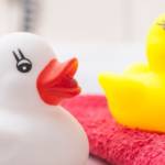 Des sextoys en forme de canards