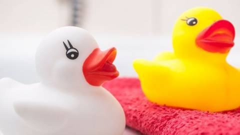 Des sextoys en forme de canards