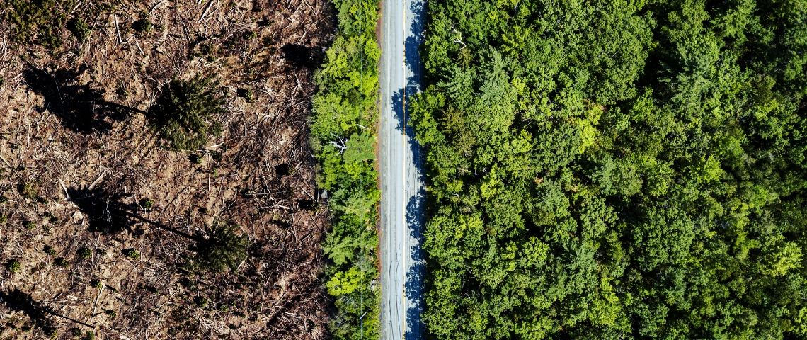 Le confinement est-il bon pour la planète ? Non Vue arrière de la déforestation