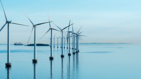 Des éoliennes sur l'eau