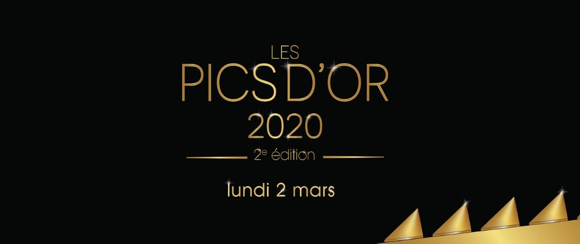 La Fondation Abbé-Pierre a remis les « Pics d’or » lors d’une cérémonie satirique qui vise à dénoncer l’essor du mobilier urbain anti-SDF et des mesures administratives à leur encontre. Logo Pics d'or 2020