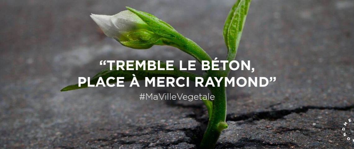 Merci Raymond s'engage et lance une campagne de communication à l'occasion des Élections Municipales 2020 : « Pour les municipales, je vote #MaVilleVegetale » Plante sortant du béton
