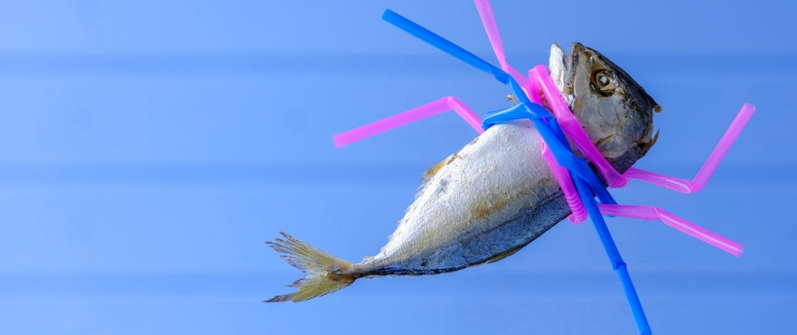 Pourquoi écologie et pandémie sont liées Un poisson étranglé par des pailles en plastique