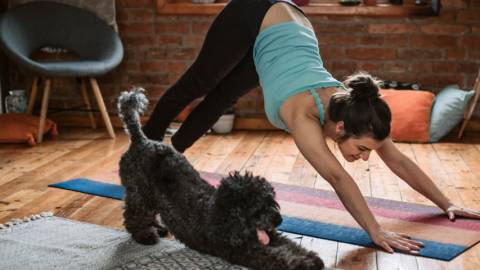 Comment faire du sport chez soi pendant le confinement ? 