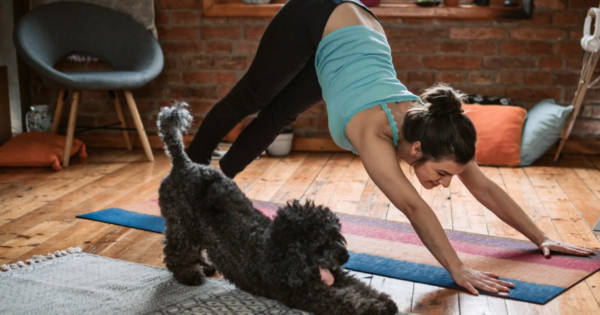 Programme fitness femme sans matériel - Sport à la maison TeamShape