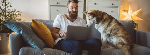 Comment bien télétravailler ? Un homme en train de travailler sur son canapé avec son chien
