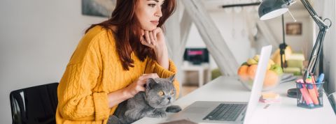 Que pensent les Français du télétravail en confinement ? Une femme rousse avec un chat gris sur les genoux en train de travailler sur un ordinateur portable
