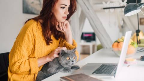 Une femme rousse avec un chat gris sur les genoux en train de travailler sur un ordinateur portable