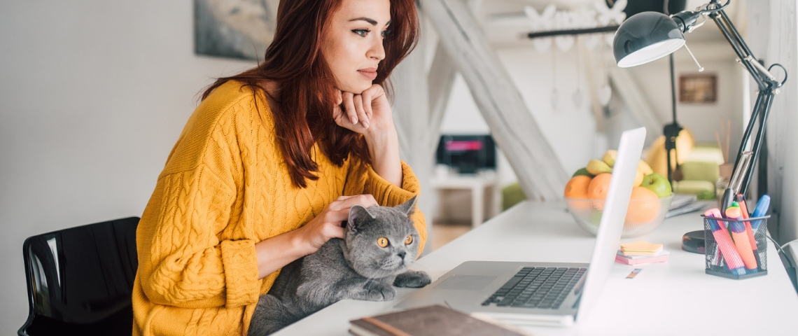 Que pensent les Français du télétravail en confinement ? Une femme rousse avec un chat gris sur les genoux en train de travailler sur un ordinateur portable