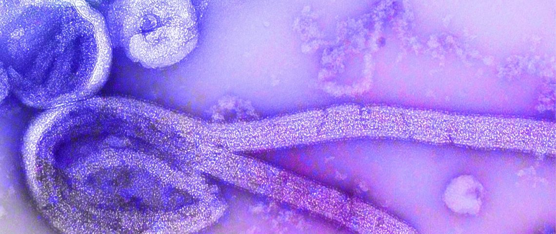 La Chine fait retirer de l'app store un jeu dont l'objectif est d'infecter me plus de monde possible un virus ebola