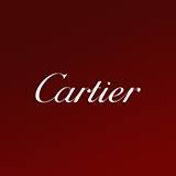 CARTIER INTERNATIONAL CARTIER INTERNATIONAL