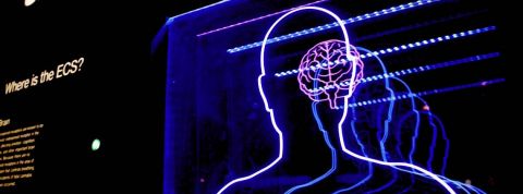 « Il ne faudra pas oublier nos émotions actuelles », ce que nous pouvons apprendre de la crise du Coronavirus « Il ne faudra pas oublier nos émotions actuelles », ce que nous pouvons apprendre de la crise du Coronavirus