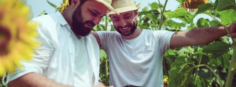 Citeo-CC2020 Citeo-CC2020