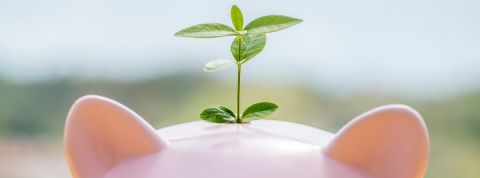 Les entrepreneurs sociaux s'expriment sur le budget rectificatif Une tirelire cochon avec une pousse d'arbre