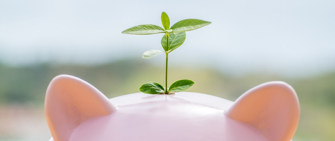 Les entrepreneurs sociaux s'expriment sur le budget rectificatif Une tirelire cochon avec une pousse d'arbre