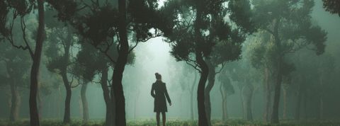 Le confinement nous donne l'impression d'être perdu Un homme seul dans le nuit et dans une forêt