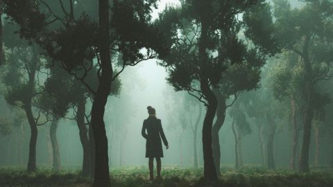 Un homme seul dans le nuit et dans une forêt