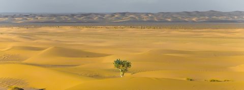 Invitation : échange avec l'expert de la résilience Serge Tisseron Invitation : échange avec l'expert de la résilience Serge Tisseron