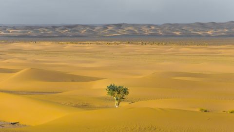 Invitation : échange avec l'expert de la résilience Serge Tisseron