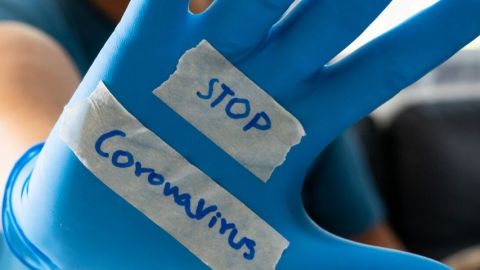 Une main dans un gant en plastique bleu