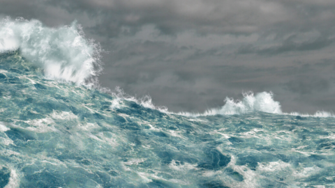 Comment manager en temps de crise Une mer déchainée par la tempete